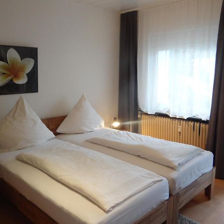 Apartment In Innenstadtnaehe Дармщат Екстериор снимка