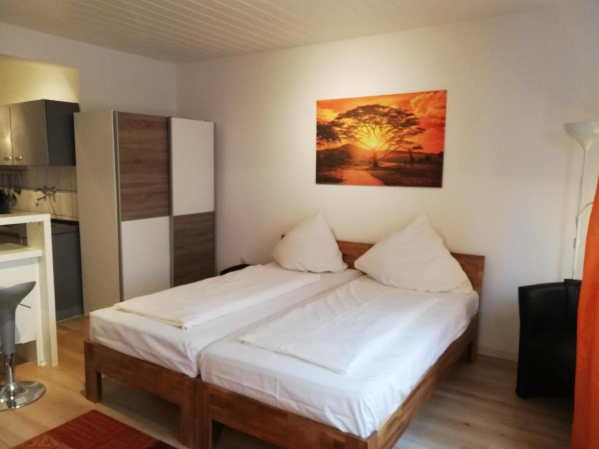 Apartment In Innenstadtnaehe Дармщат Екстериор снимка