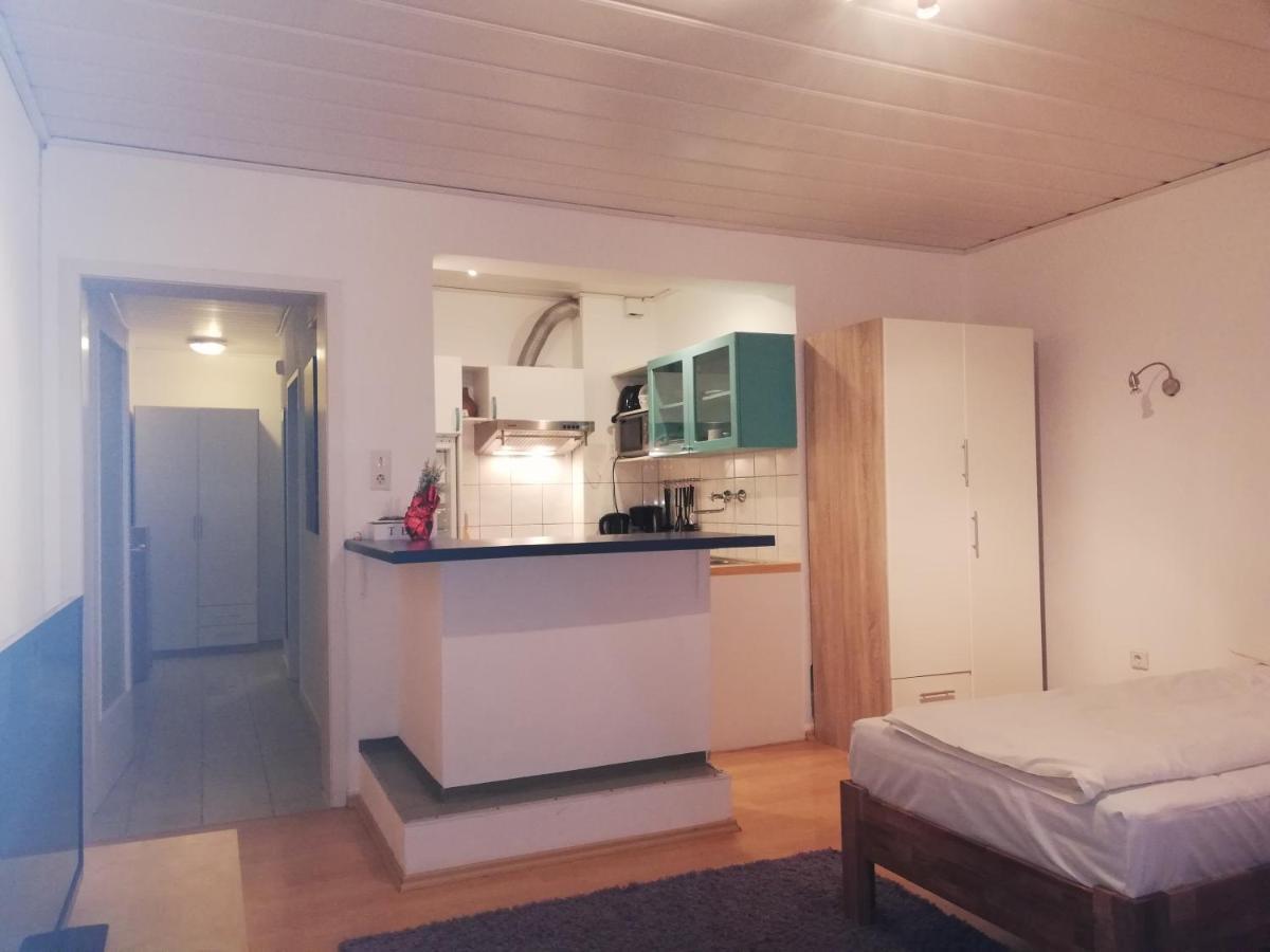 Apartment In Innenstadtnaehe Дармщат Екстериор снимка